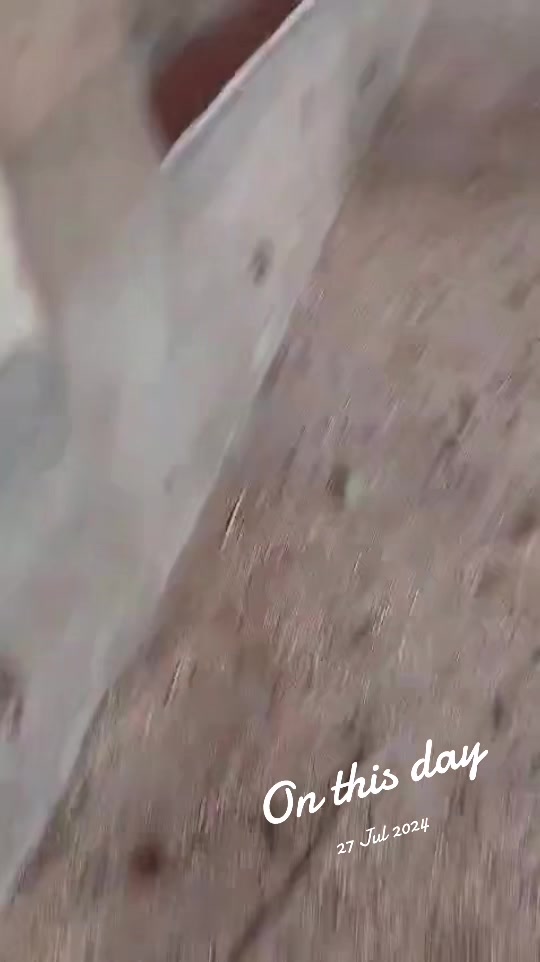 @saalimjojo