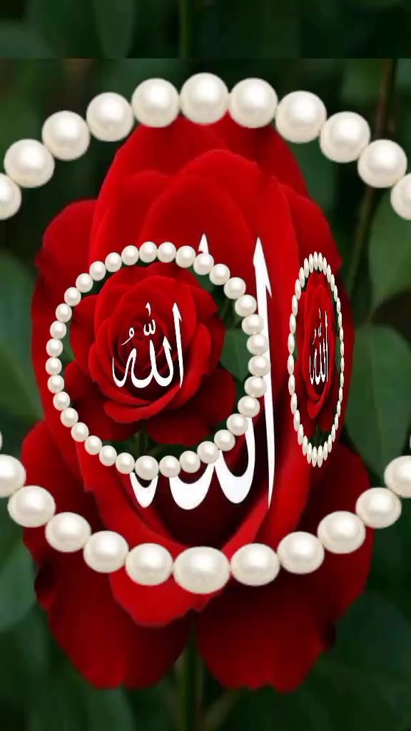 @rihanMalik8r