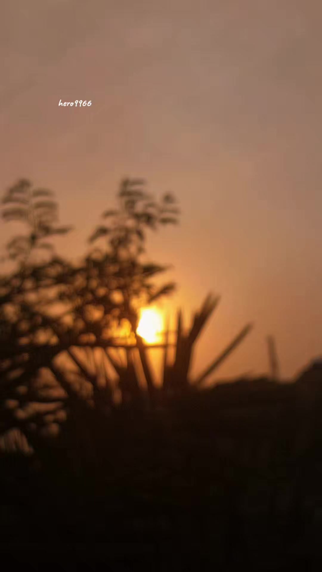 @هـيروو||📸"ᵉᶦ''