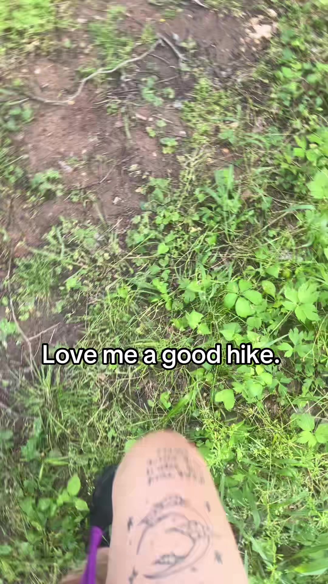 @dat.mh.gal
