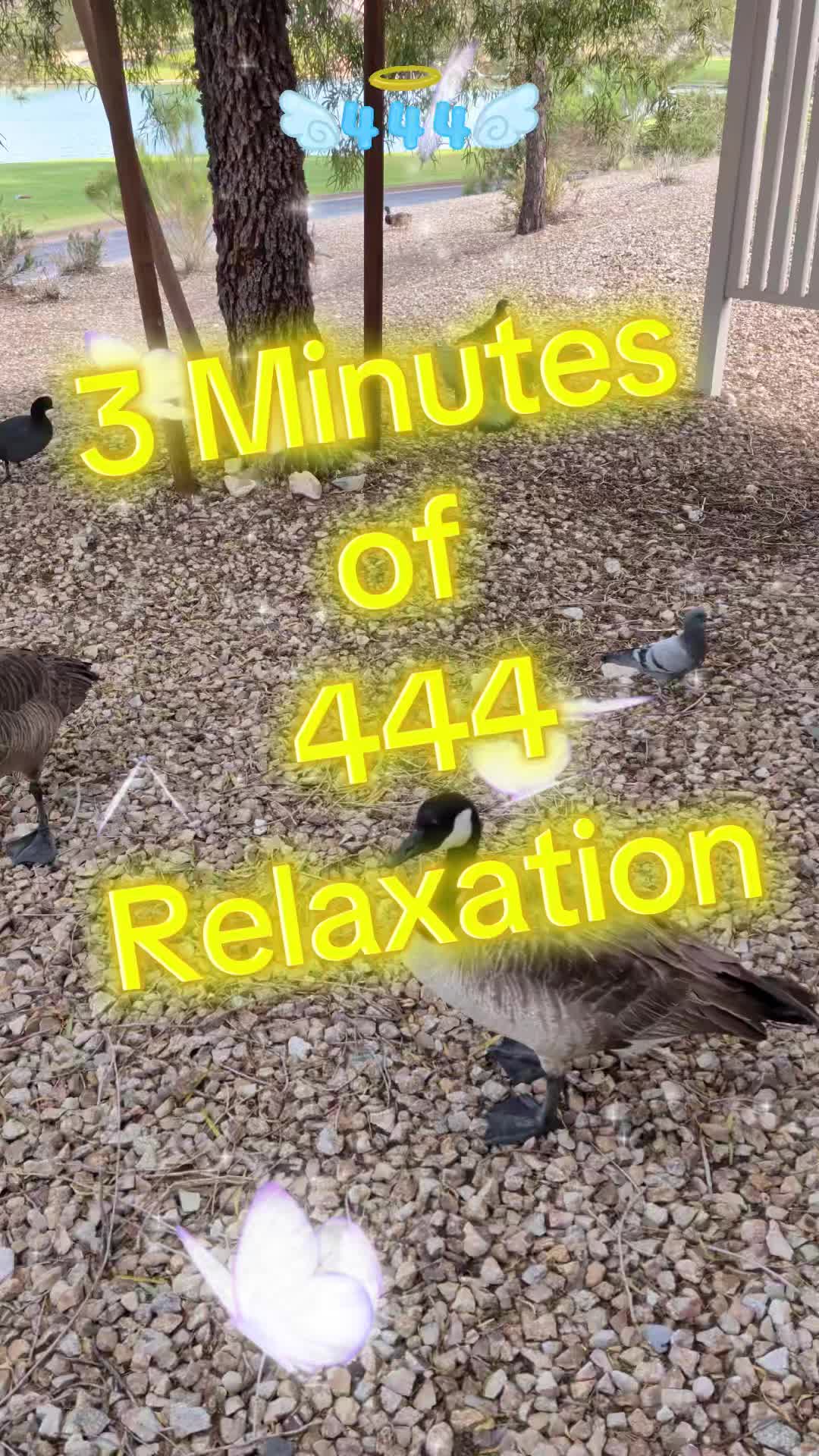 @AngelOfTheSea444