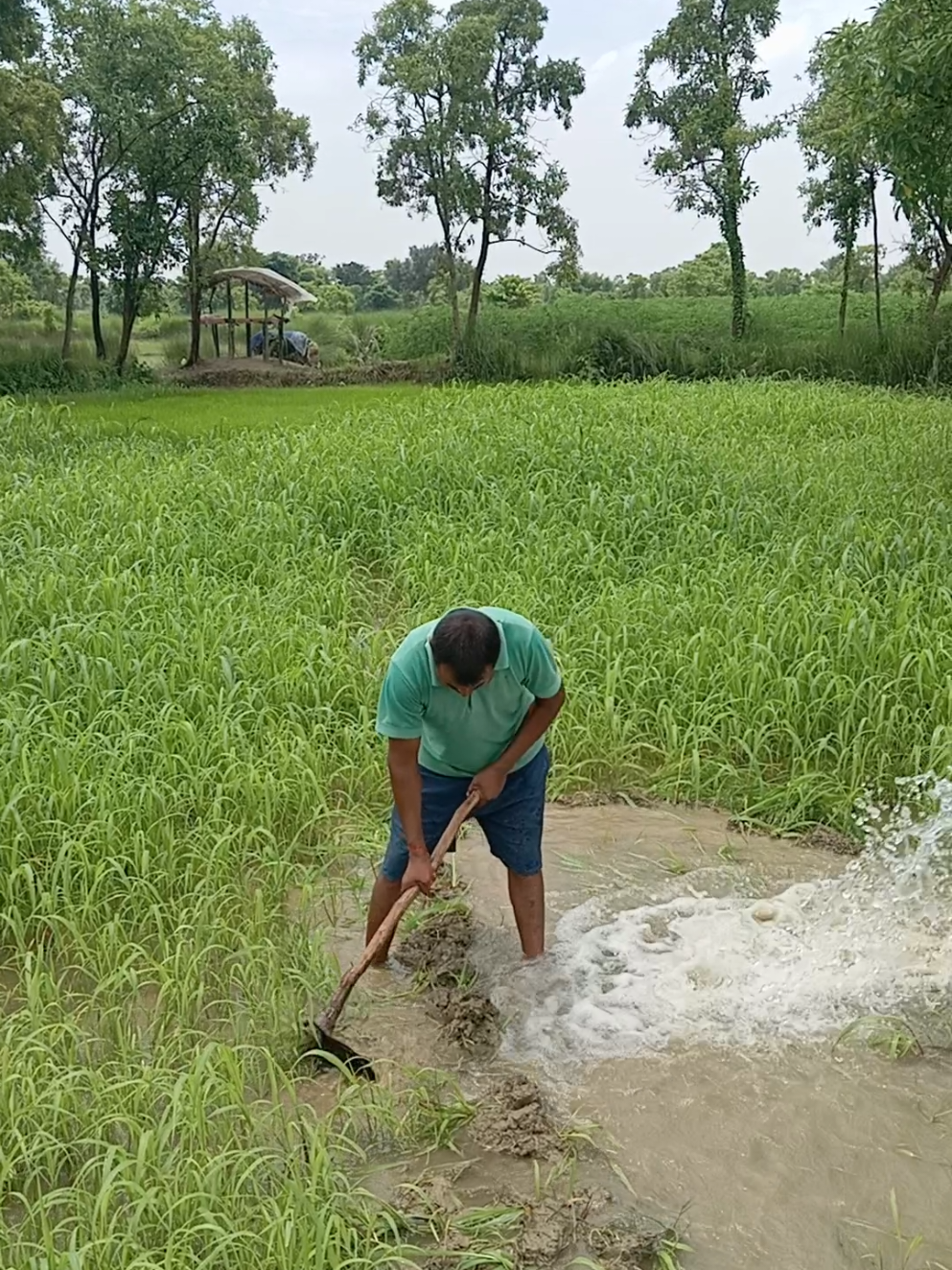 @Uday kumar Barbariya-Yadav