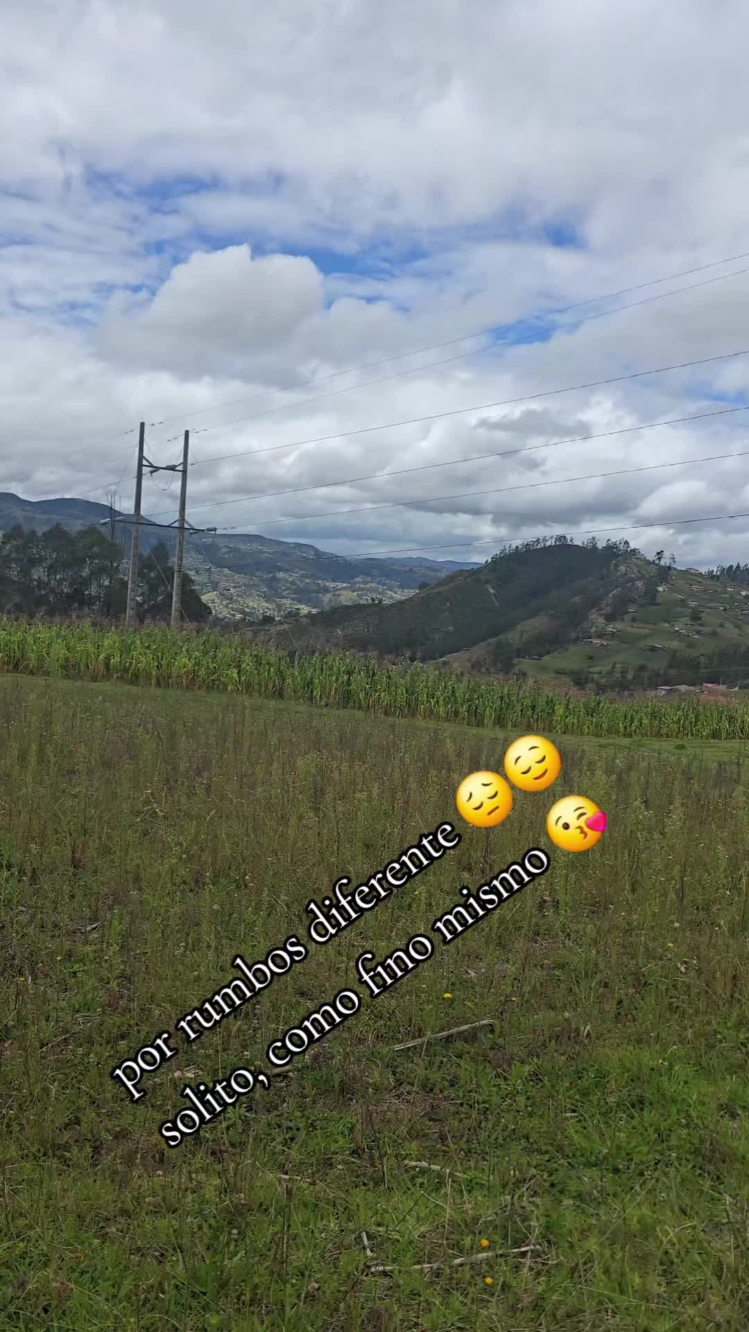 @🐓TU GALLO FINO 🐓