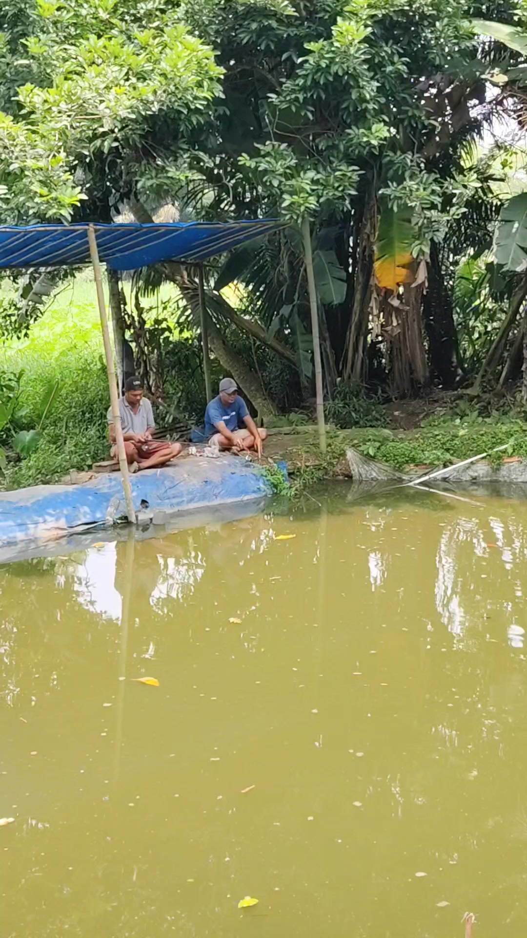 @𝙈𝙧. 𝙃𝙄𝙏𝙀🇮🇩