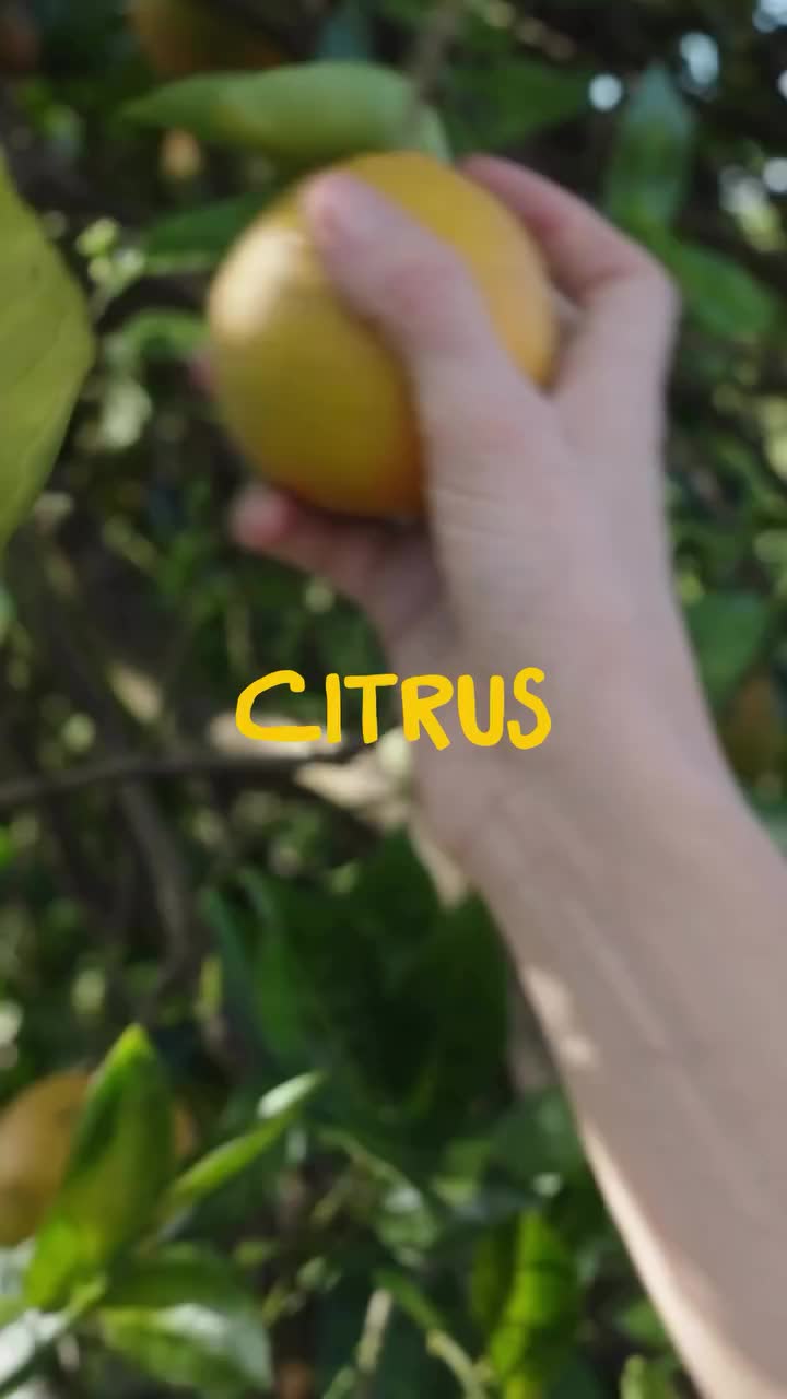 @discoverag