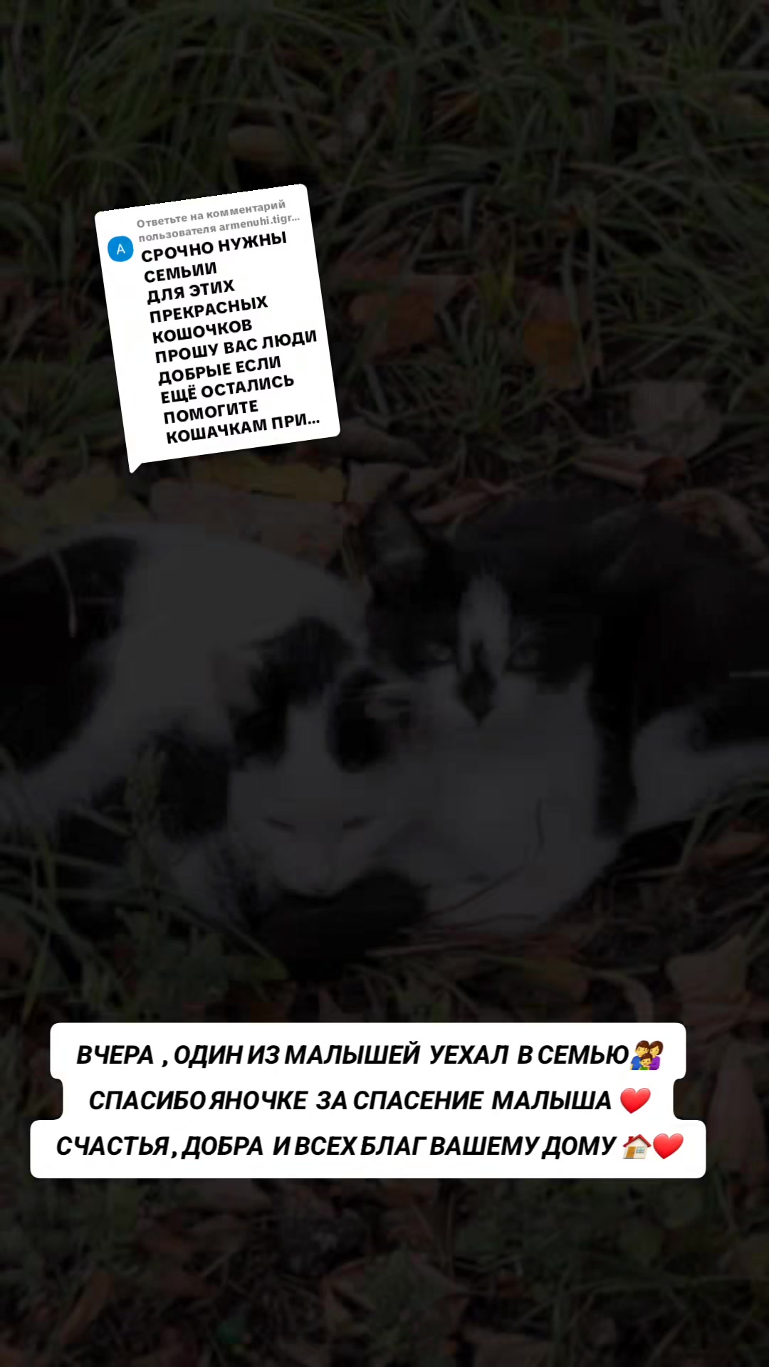 @marinka20_09