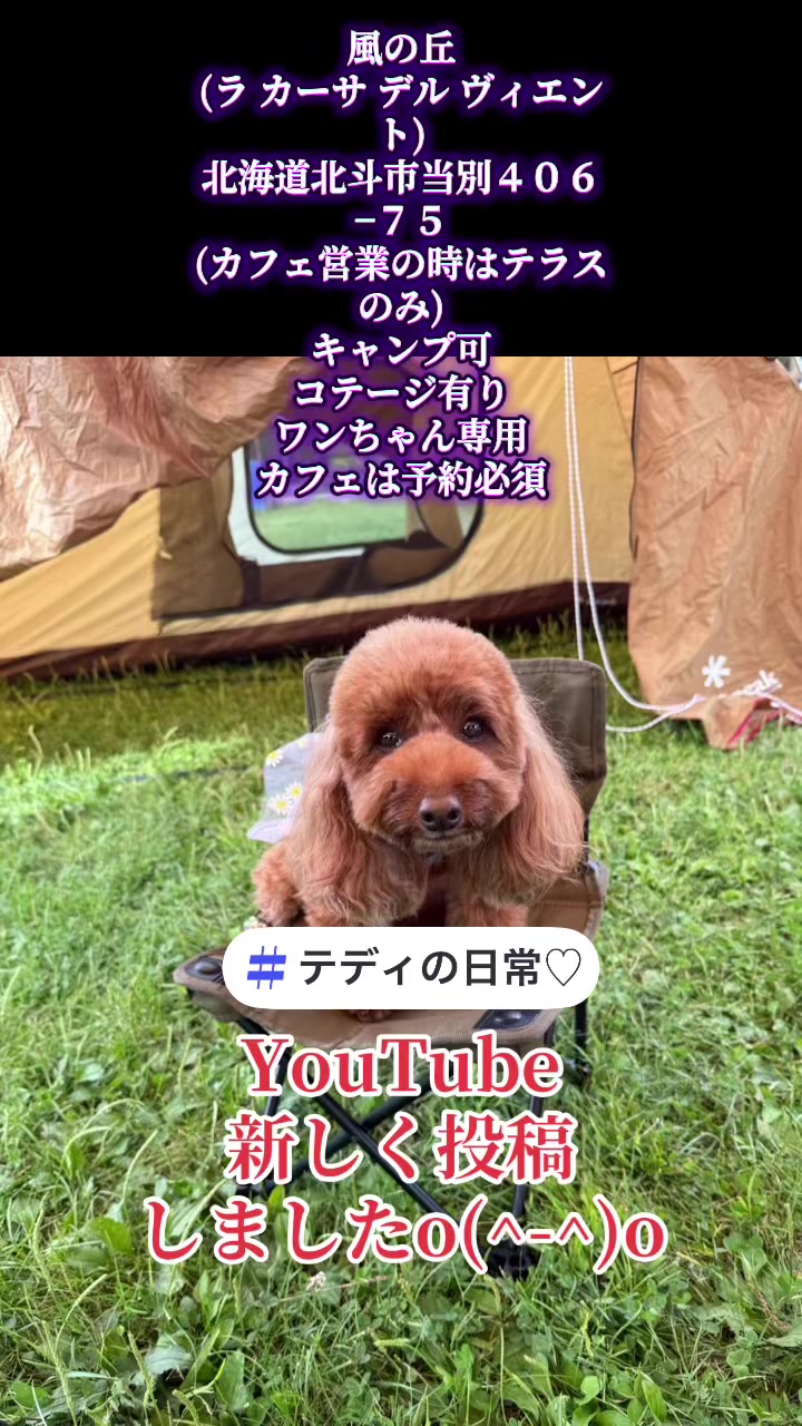 @テディきち
