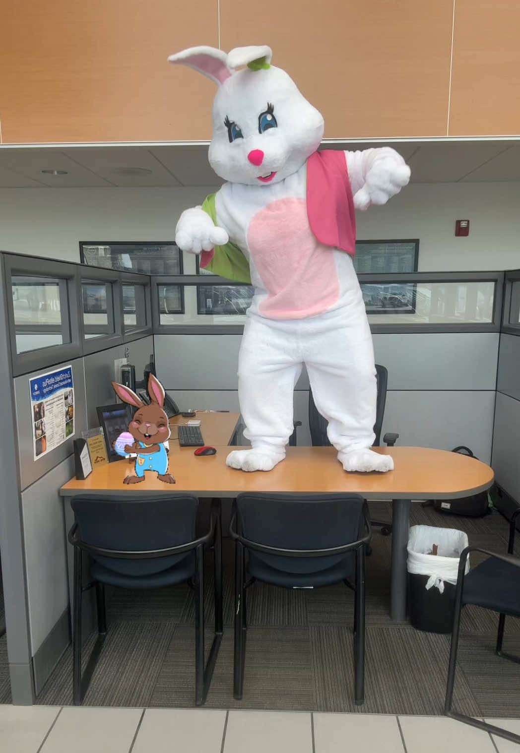@nissanofchattanooga