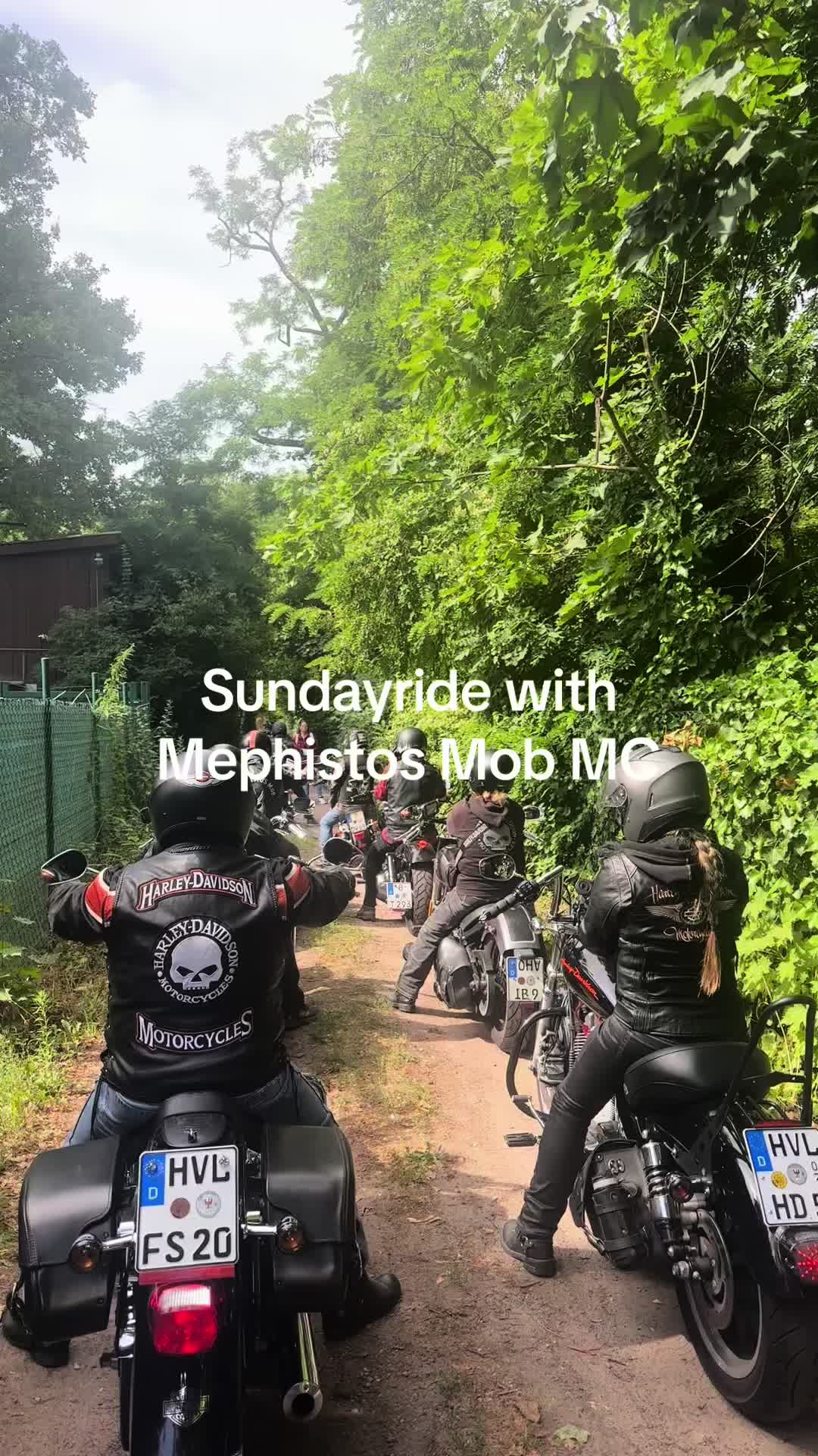 @d.d.harley