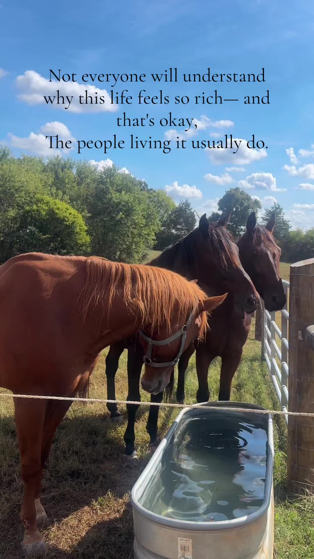@⚡️ CO D I E ⚡️