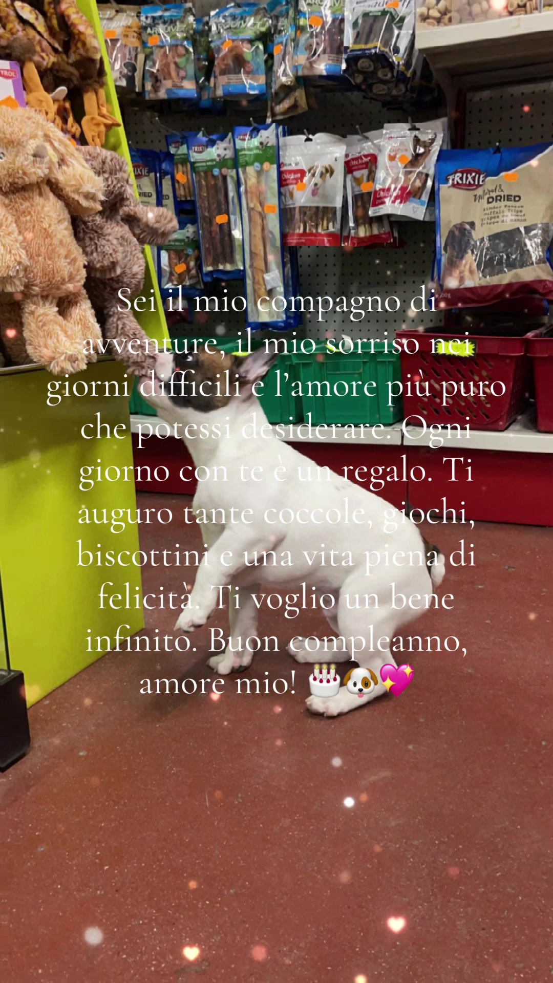 @Fabiola Parisi