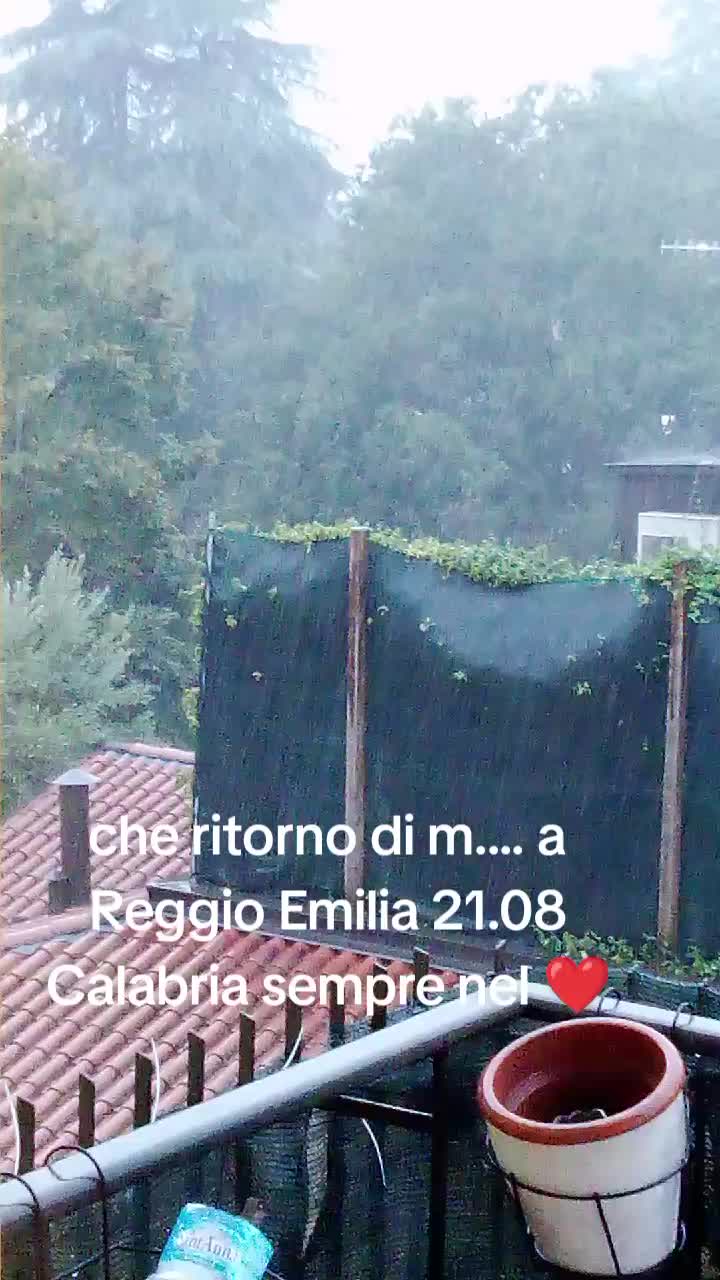 @Rosario Falsetti