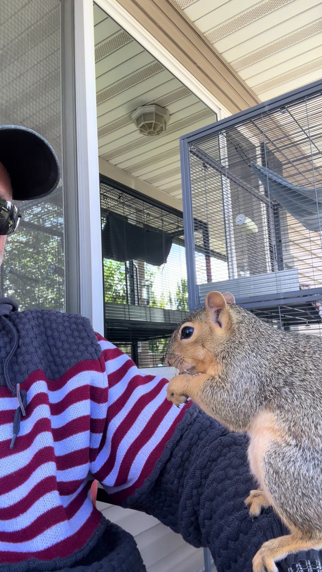 @Squirrel Guy