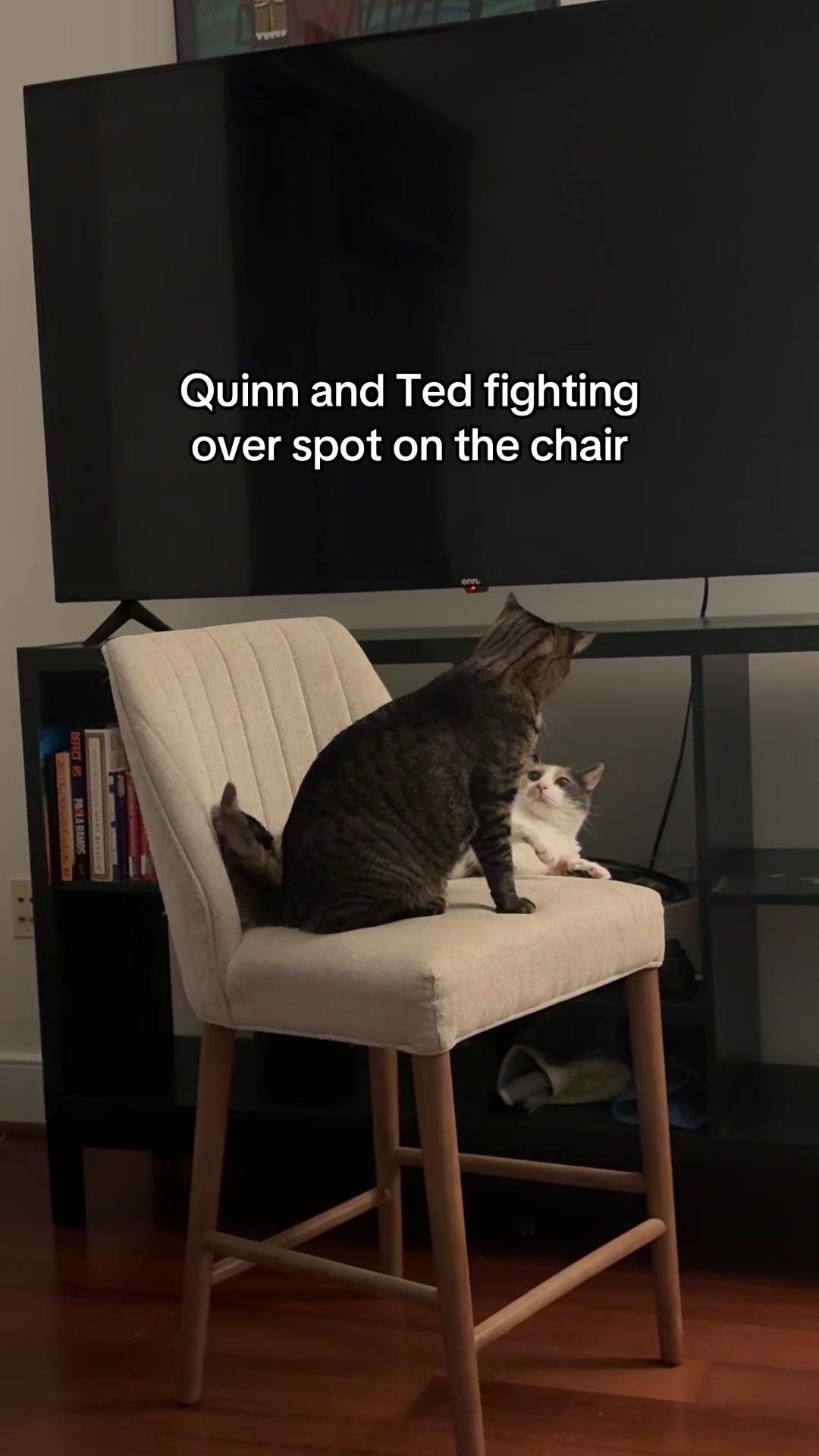 @Quinn The Calico