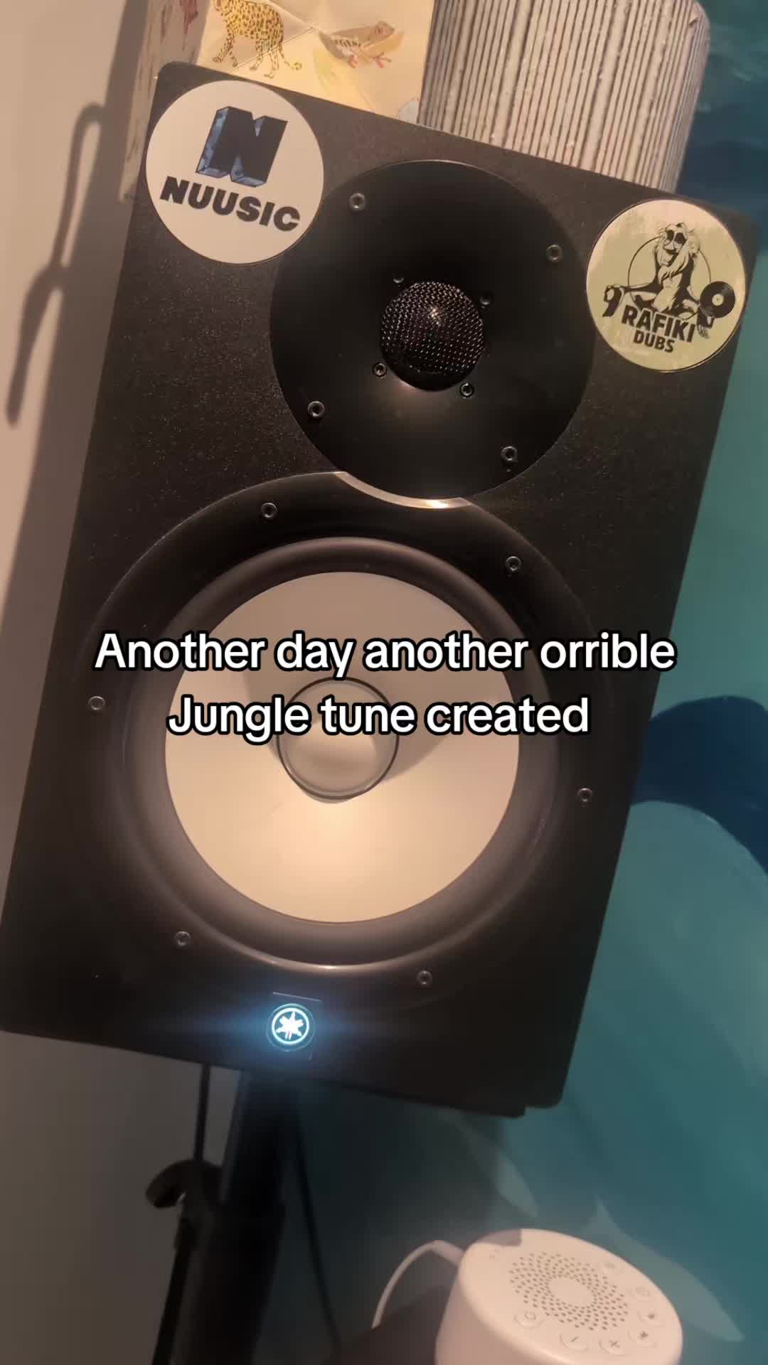 @Rafiki Dubs
