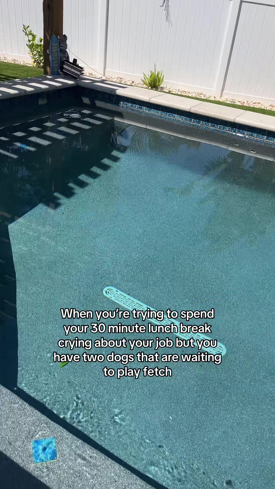 @lifewithstella