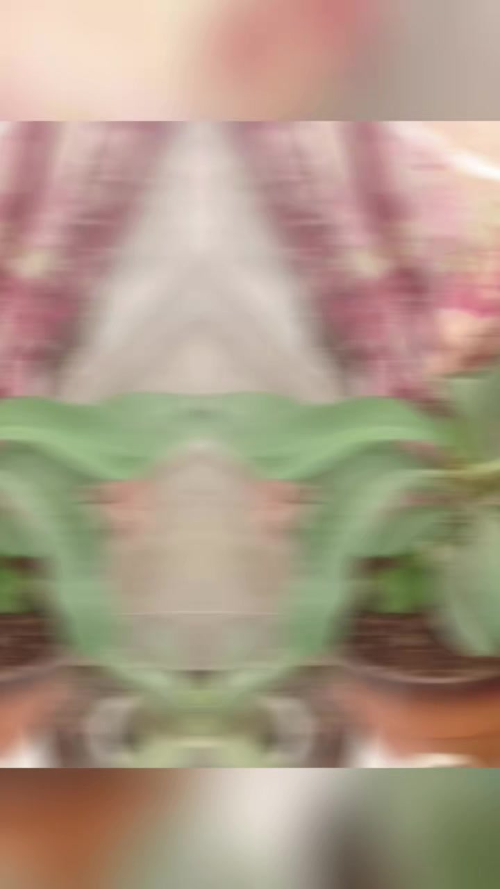 @🌹KR∆KK€π 2∅1🦅😈