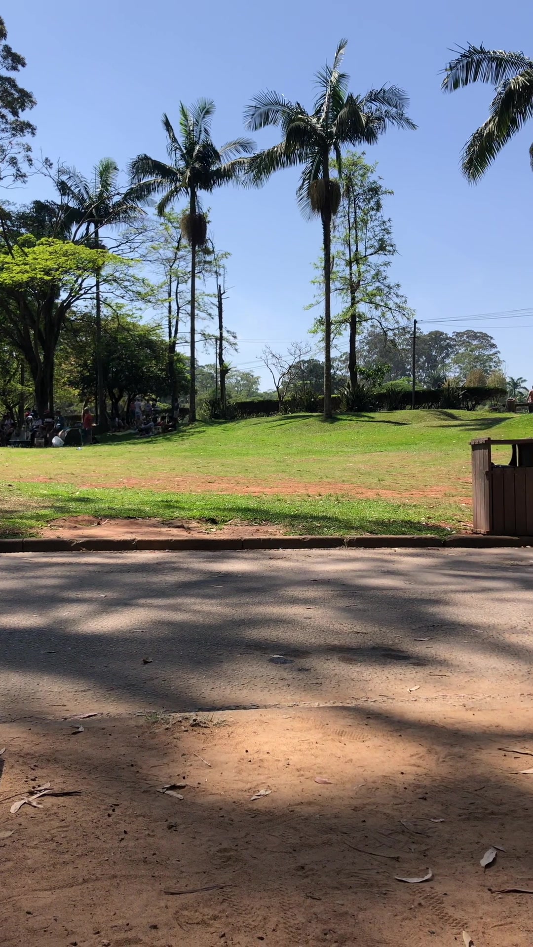 @Ta&iacute;s Saraiva