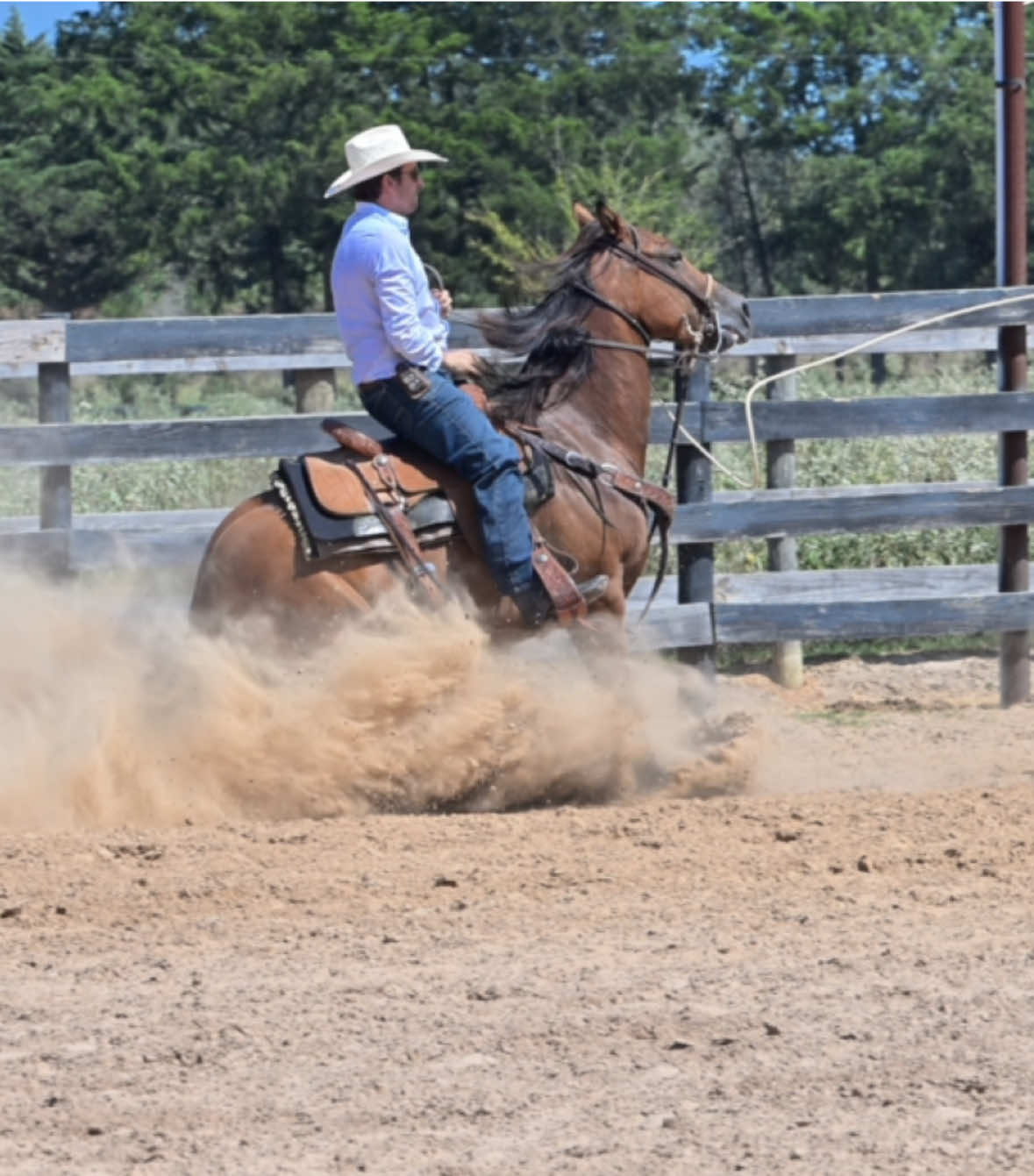 @HD Performance Horses