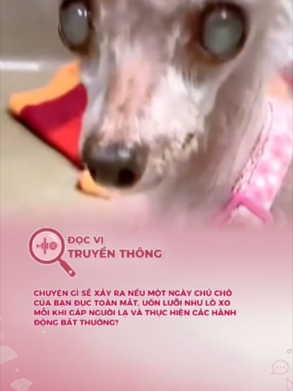 @Đọc vị truyền thông