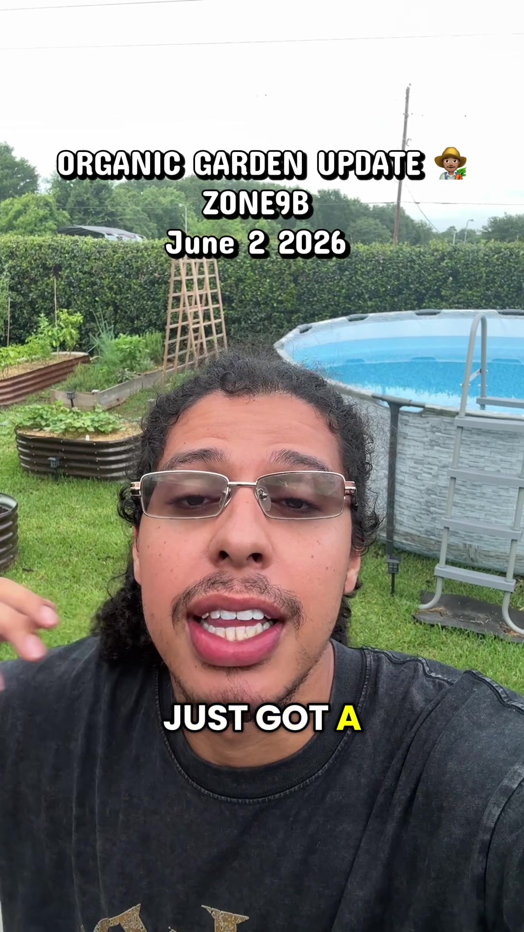 @whaleyswellness