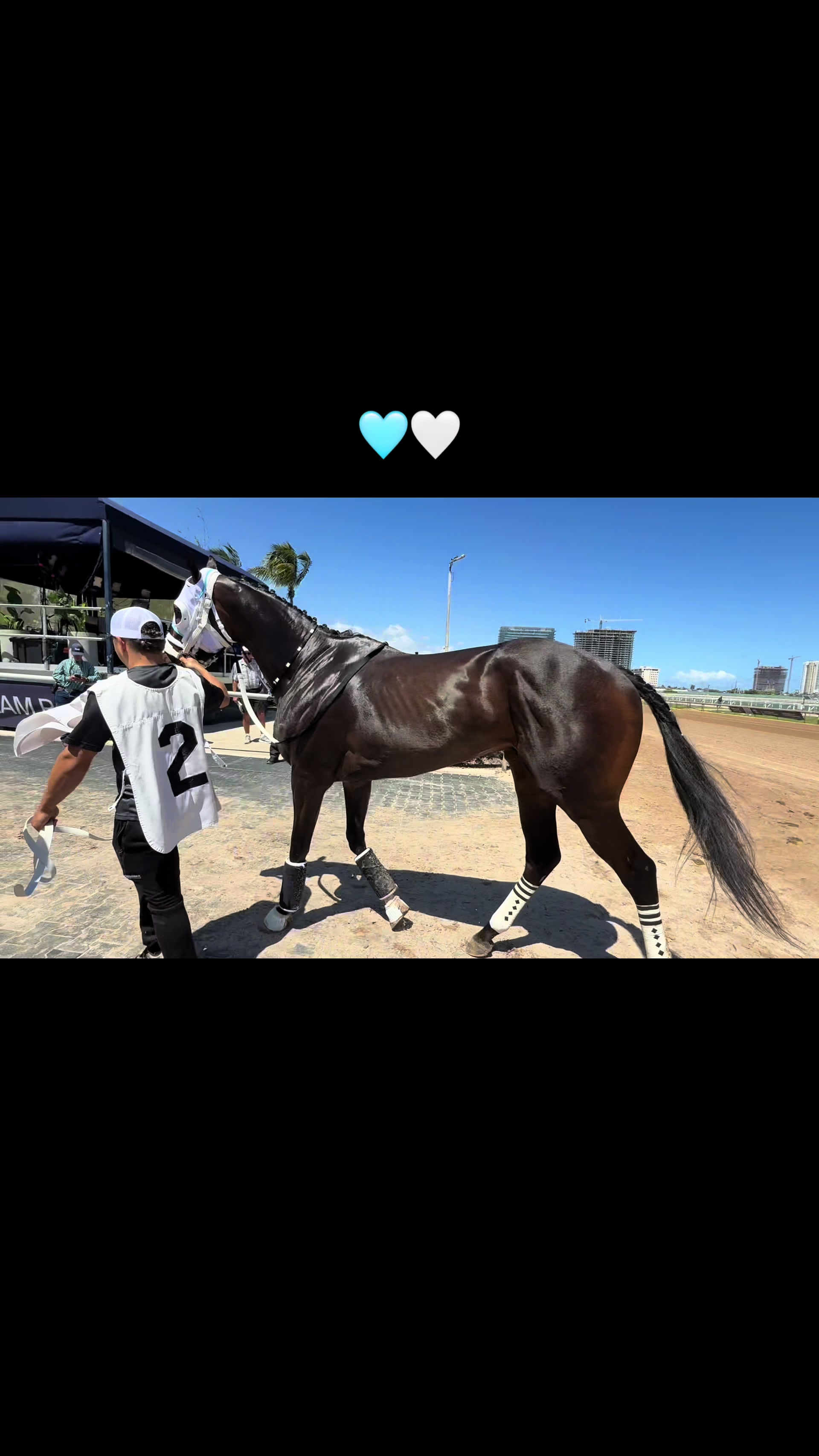 @gonzalezracingstables