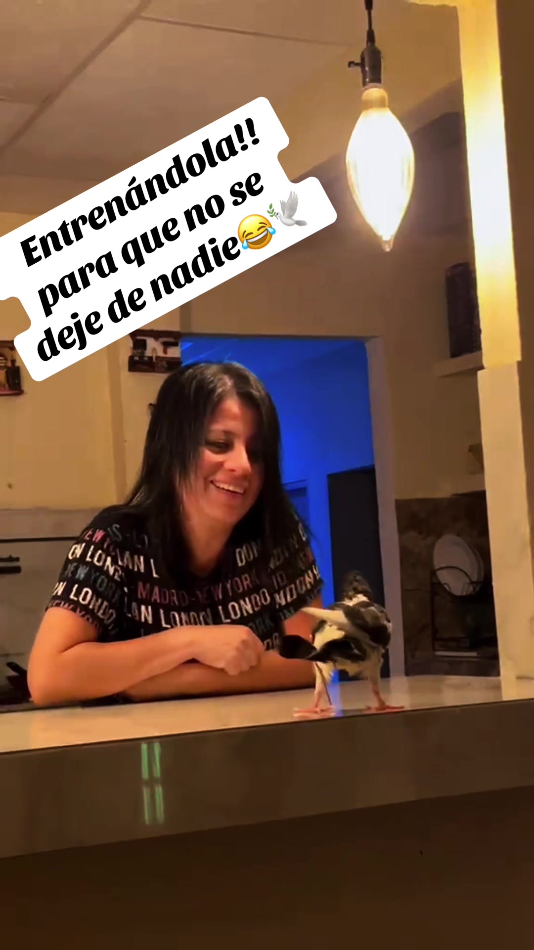 @Neicyleon