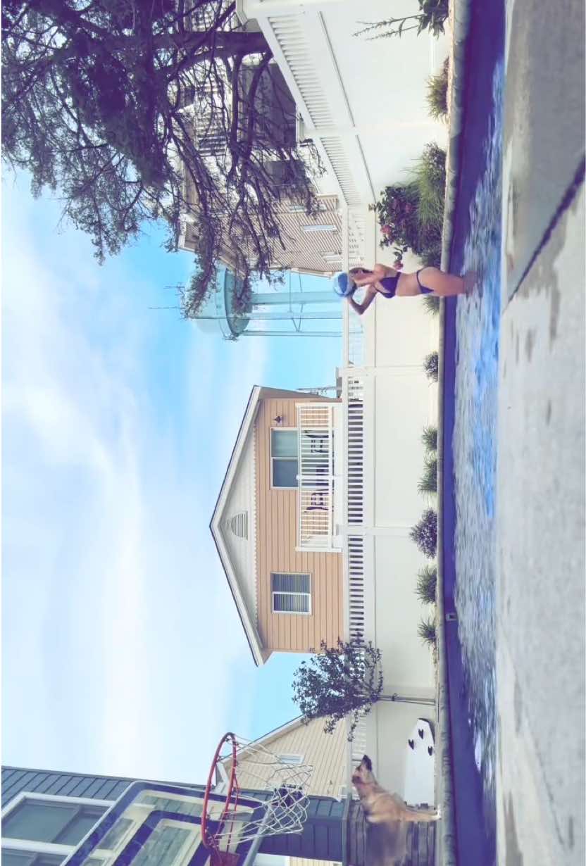 @av