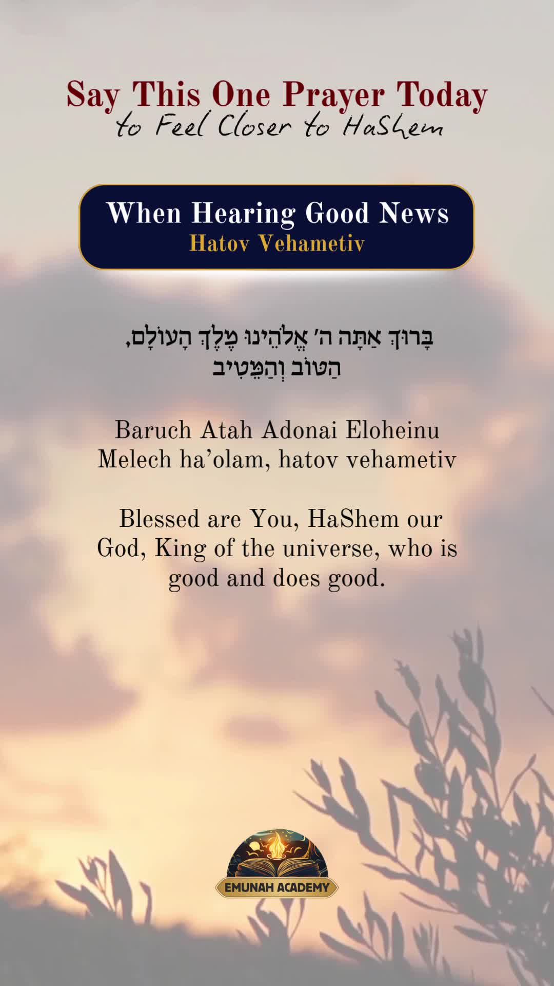 @Rav Dror