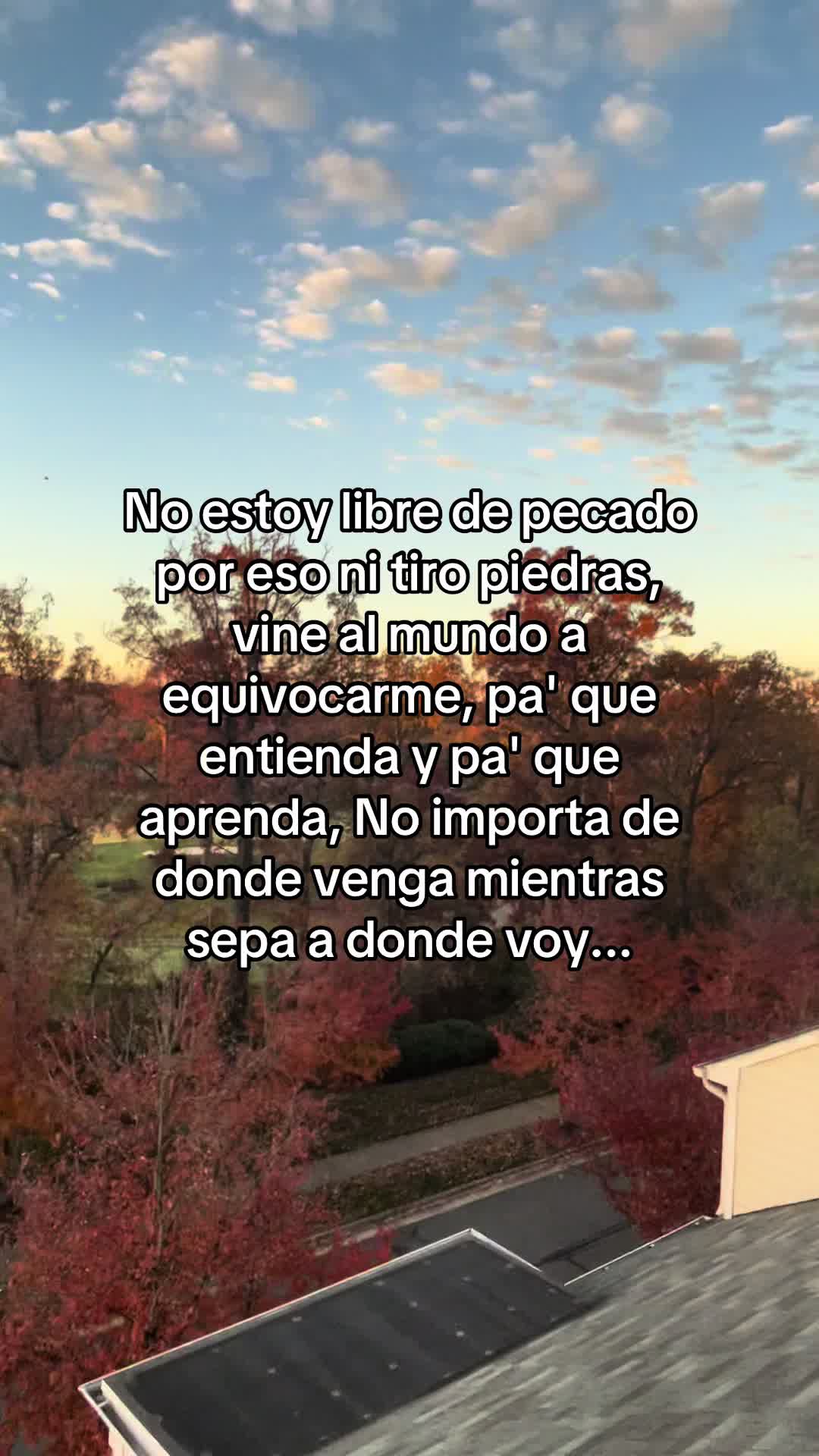 @francisco.gt5.0.2