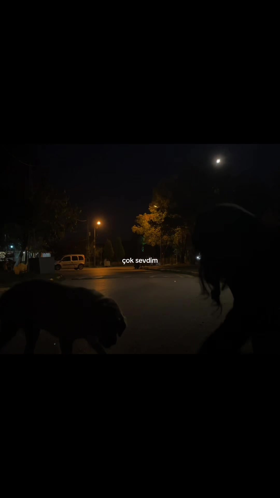 @lyricays