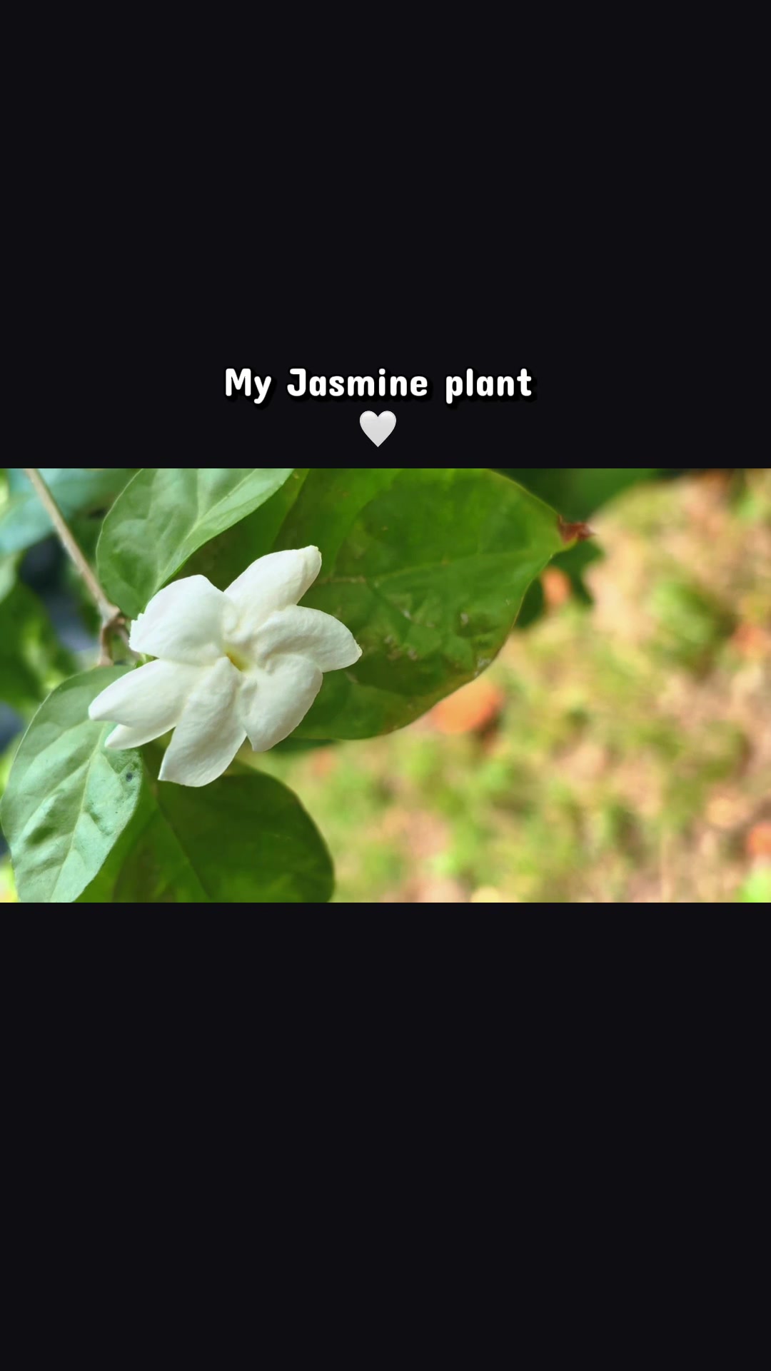 @Jennifer