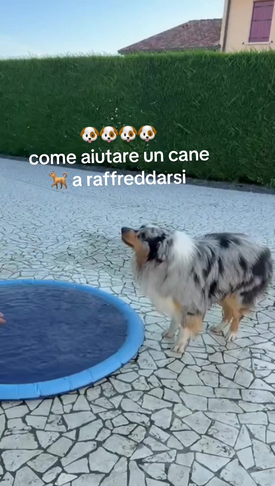 @Annalisa ❤️