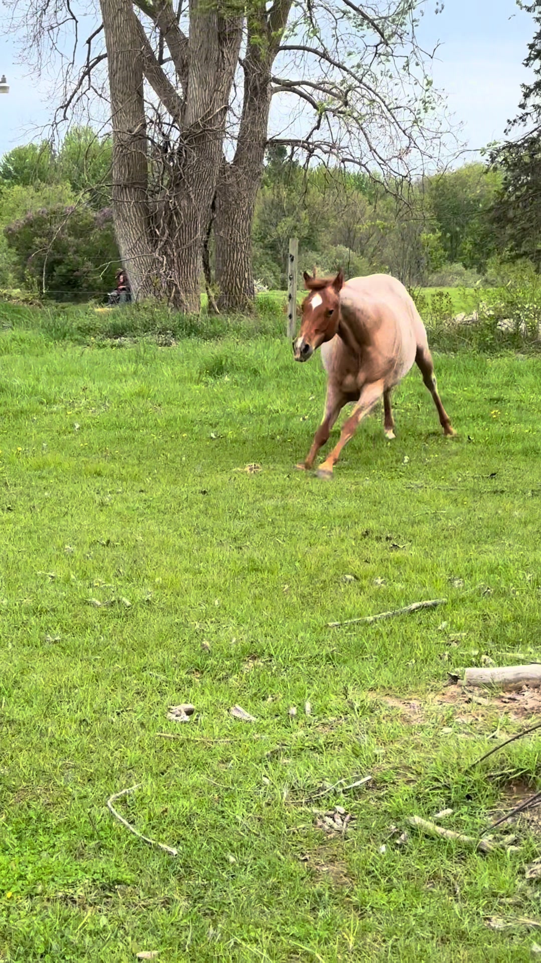@eastwood_homestead