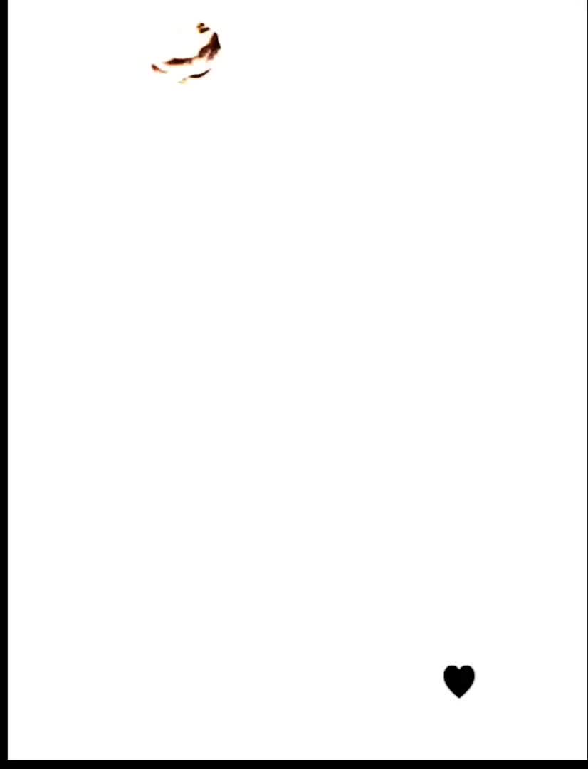 @⋆⁞° 𝗠𝗔𝗦𝗜 𝗝𝗔𝗡 °⁞