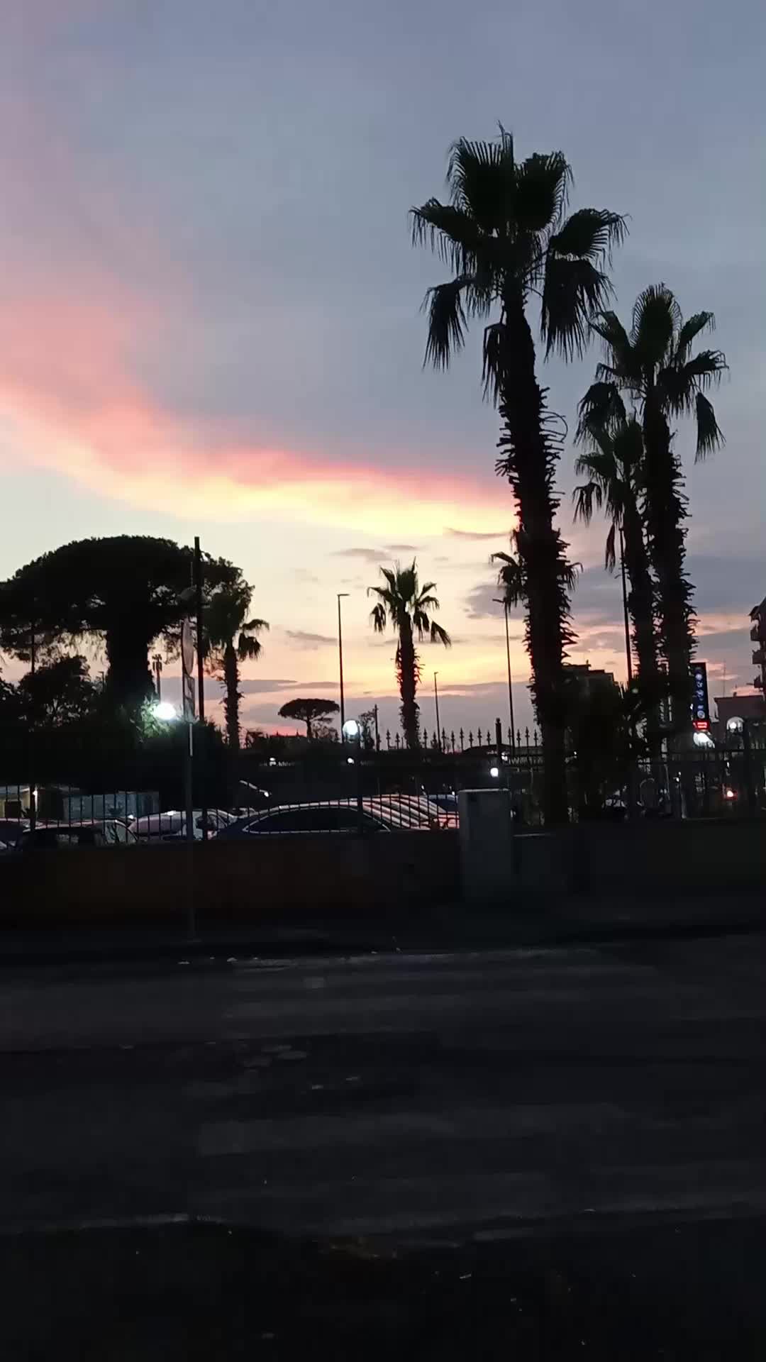 @mariachirichella211069