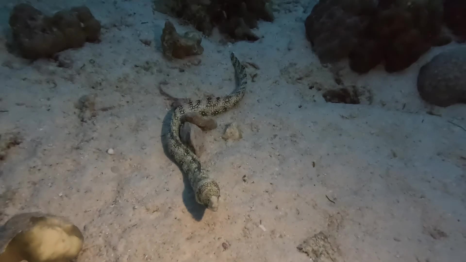 @Diving Tips and Stories