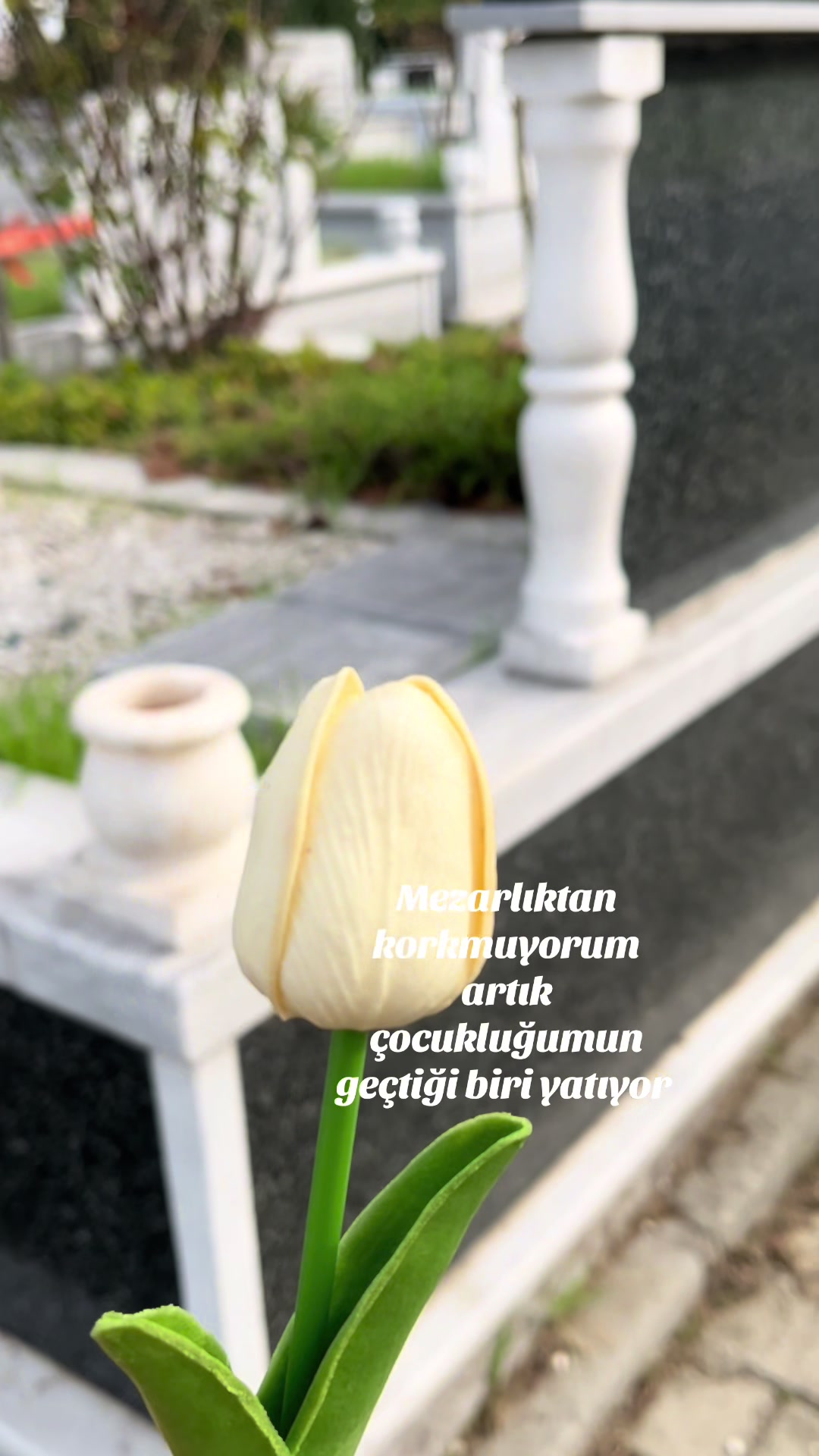 @Sarı 🧒 kız