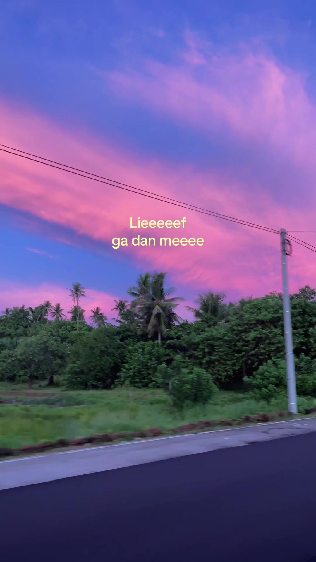 @Veerle Peters