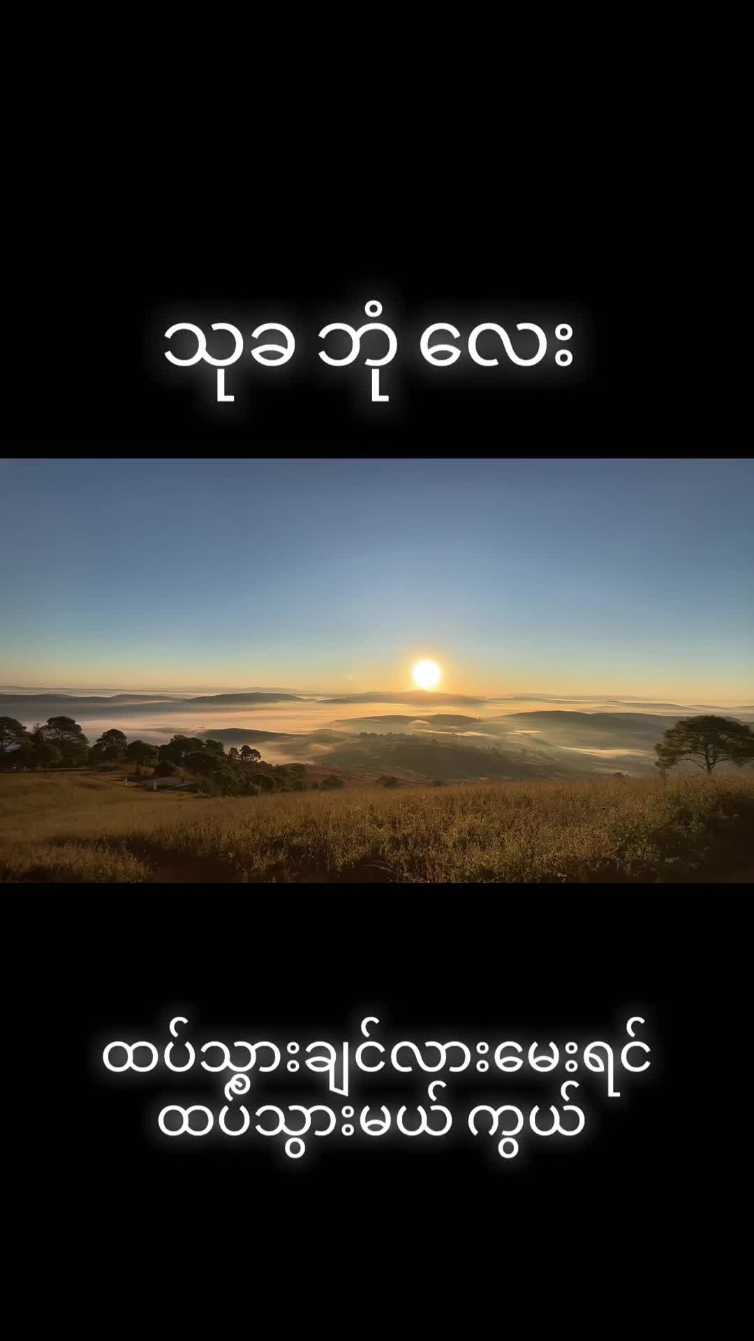 @@🦭