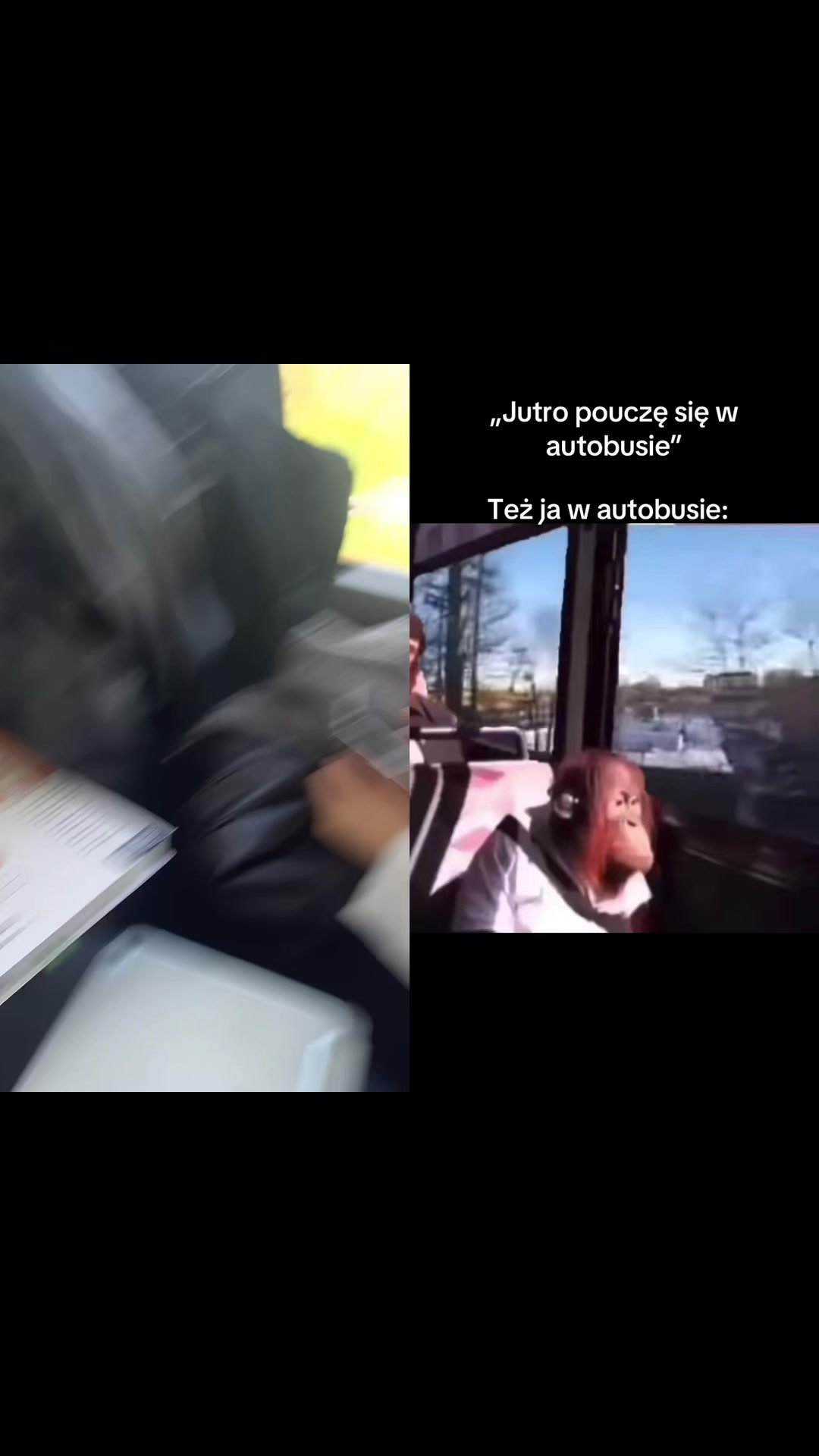 @tosia