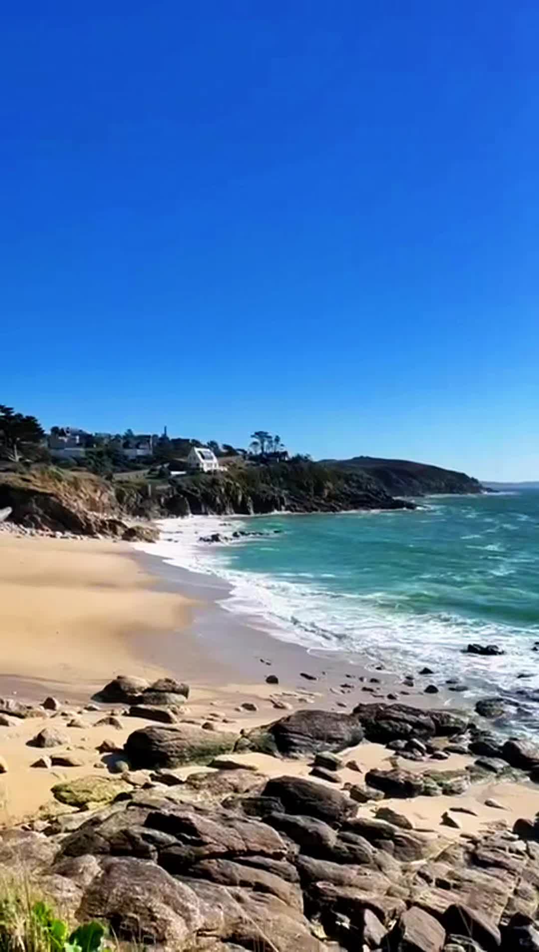 @Neeli🥇