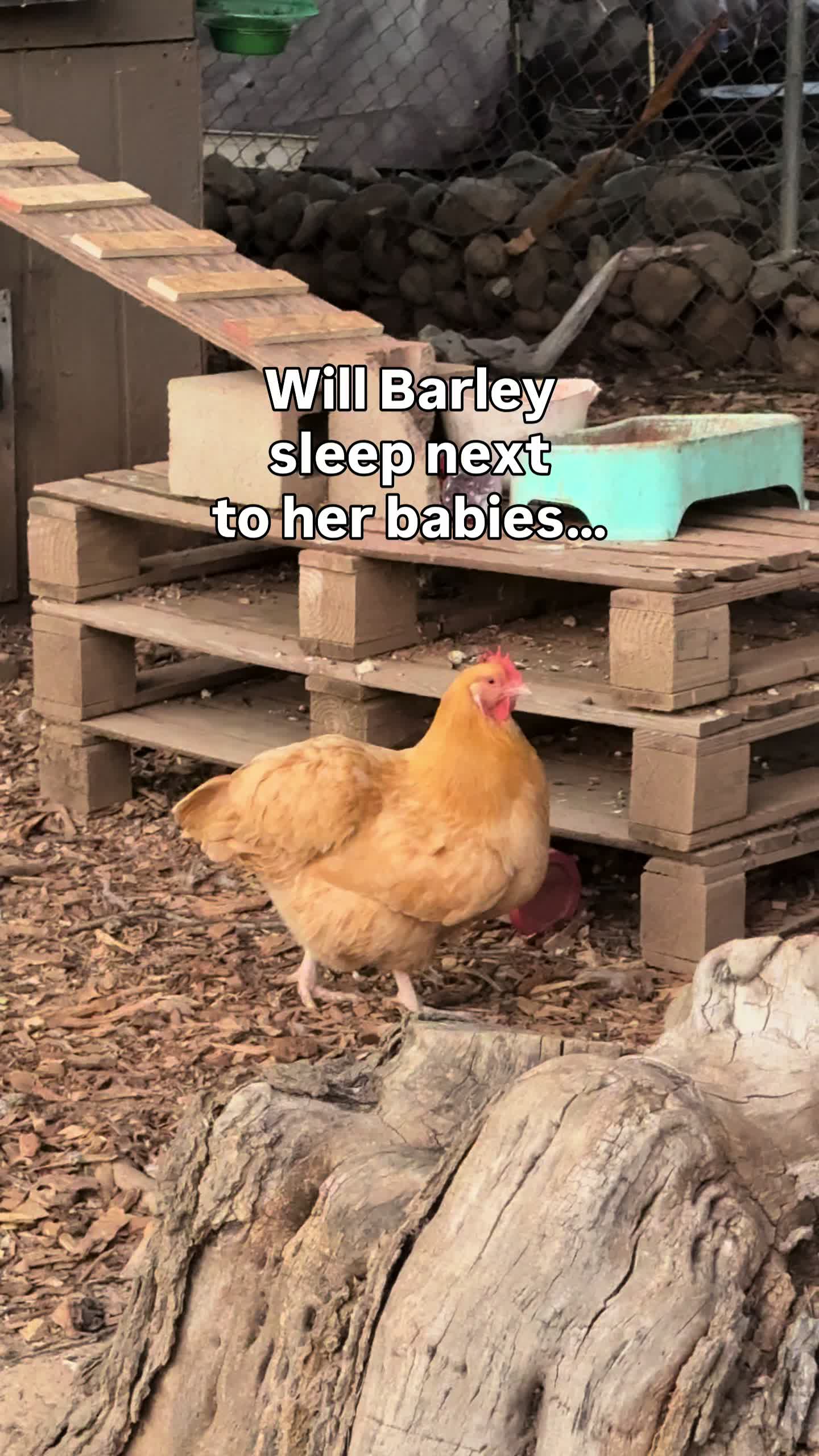 @The Real Estate Chick