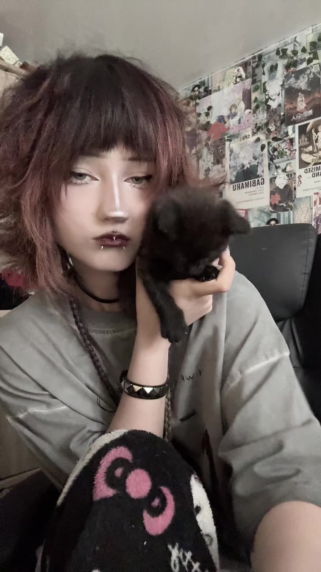 @aloraxs