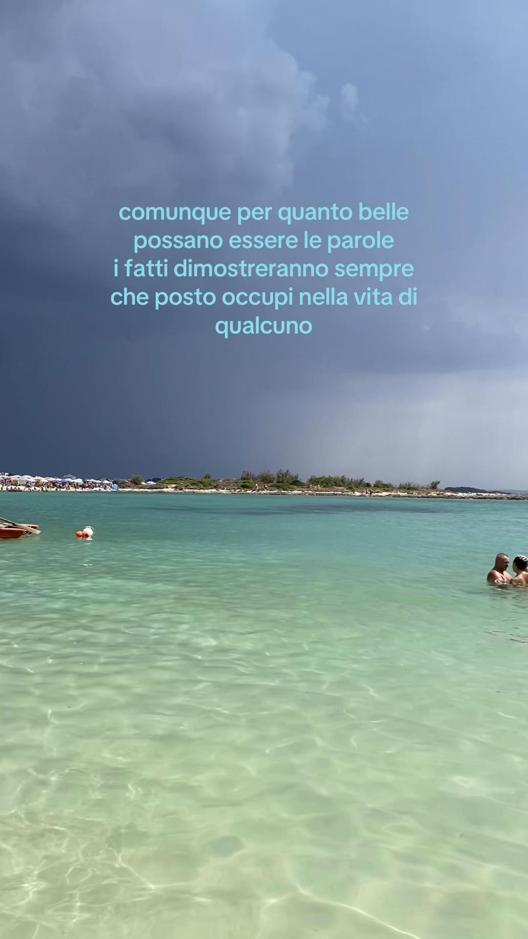 @viola🪽