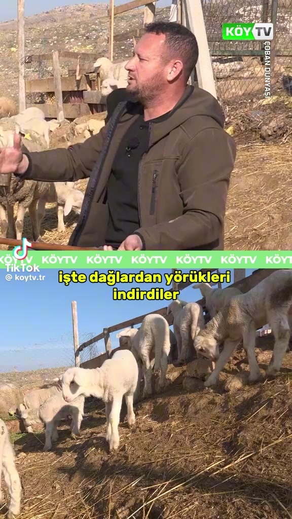 @RLCxRİGBY