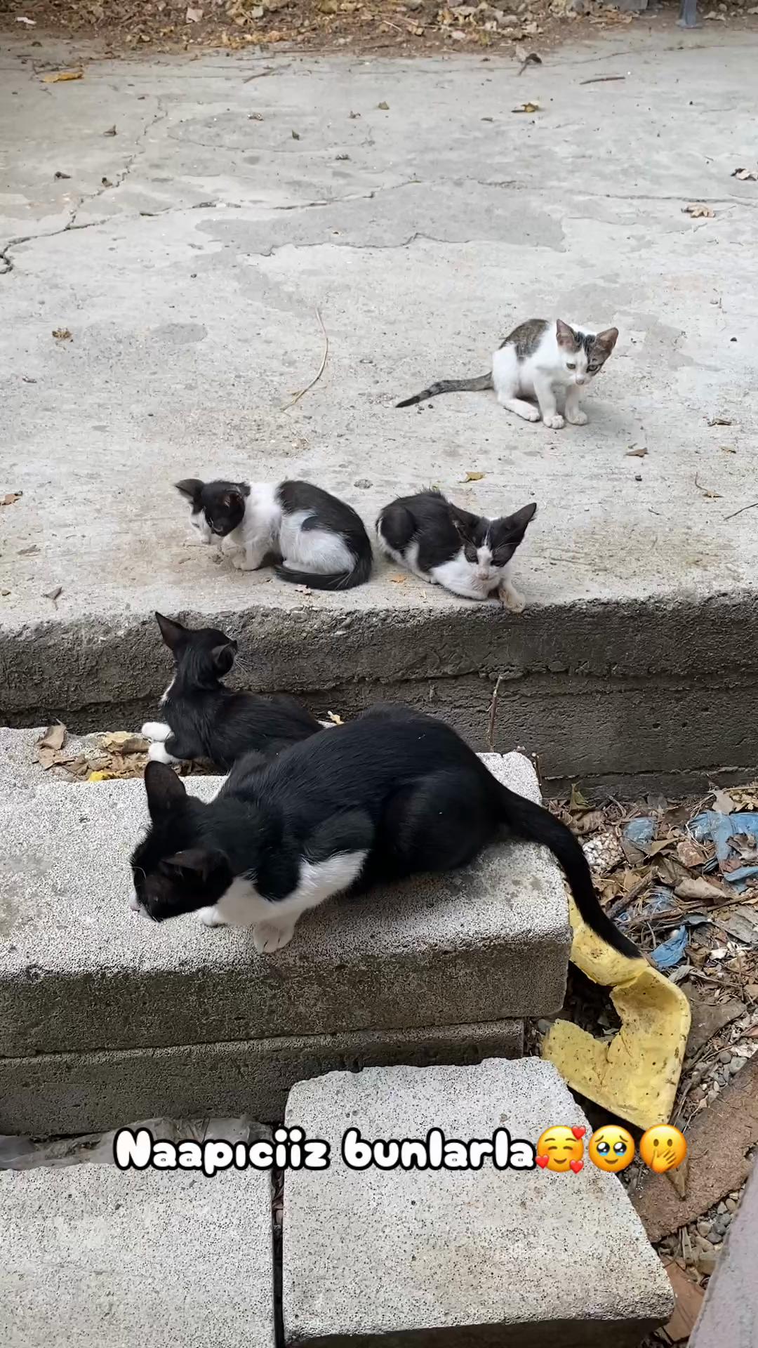 @Şapkalı Kadın