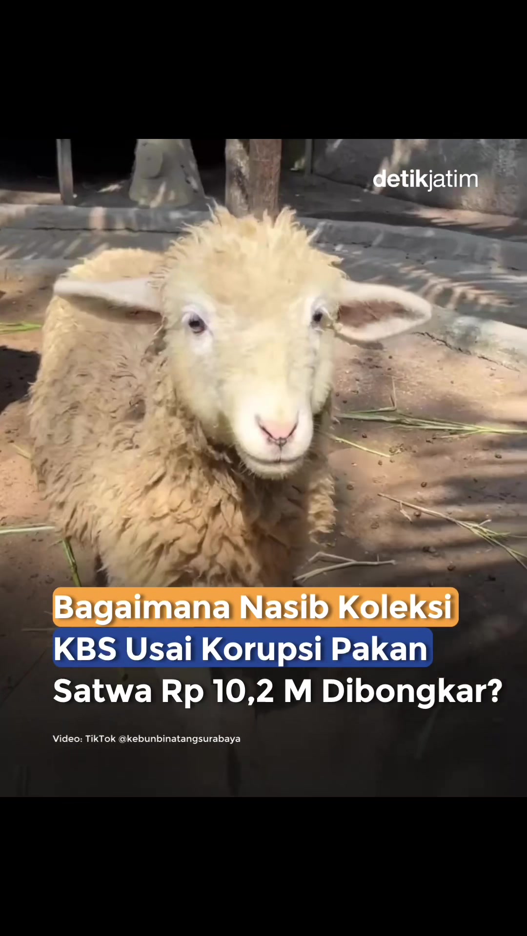 @detikjatim