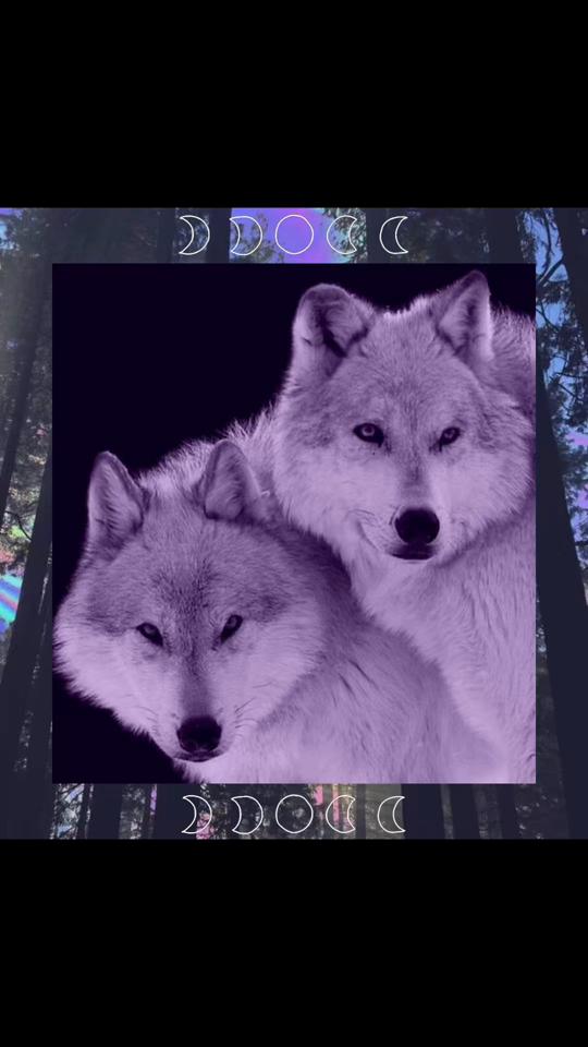 @💜 𝖘𝖔𝖕𝖍 🕸️
