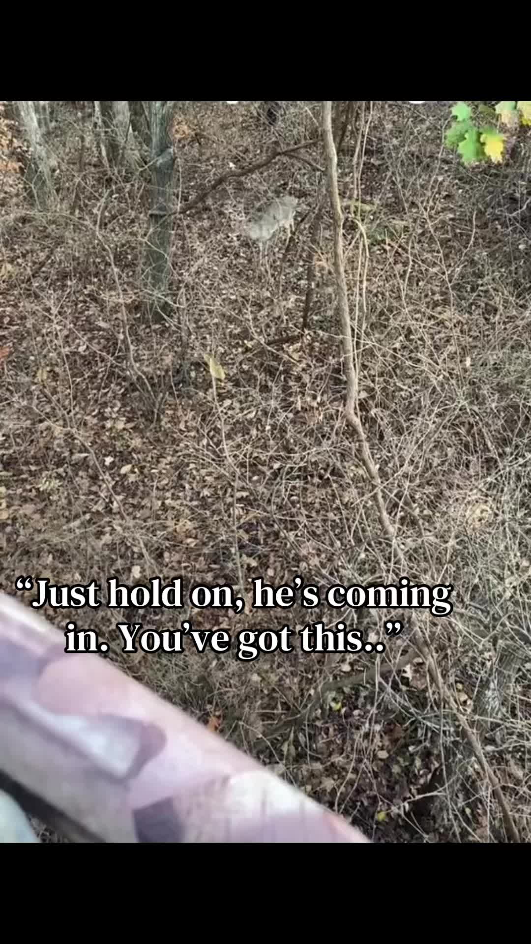 @FabledHuntress